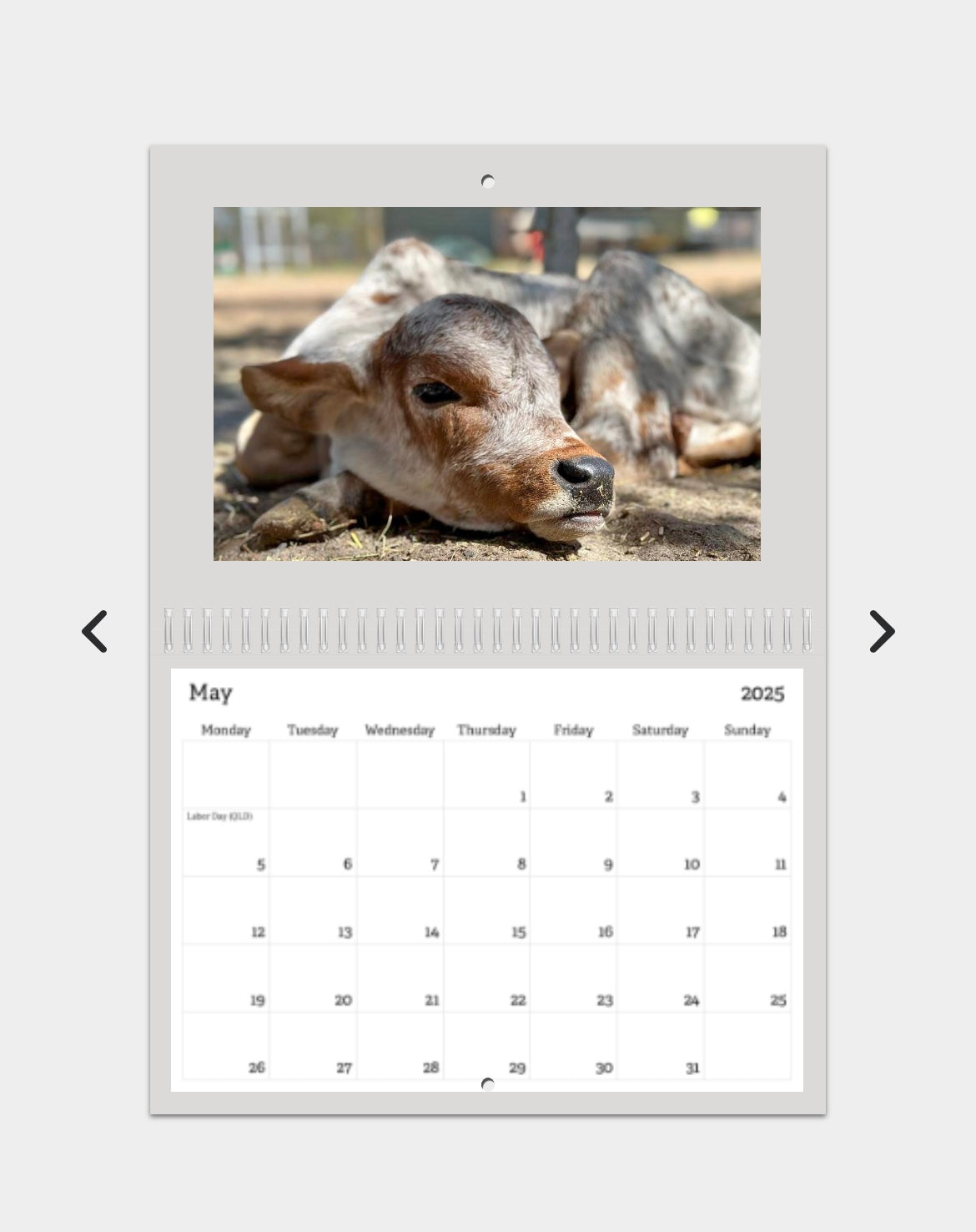 2025 CALENDAR