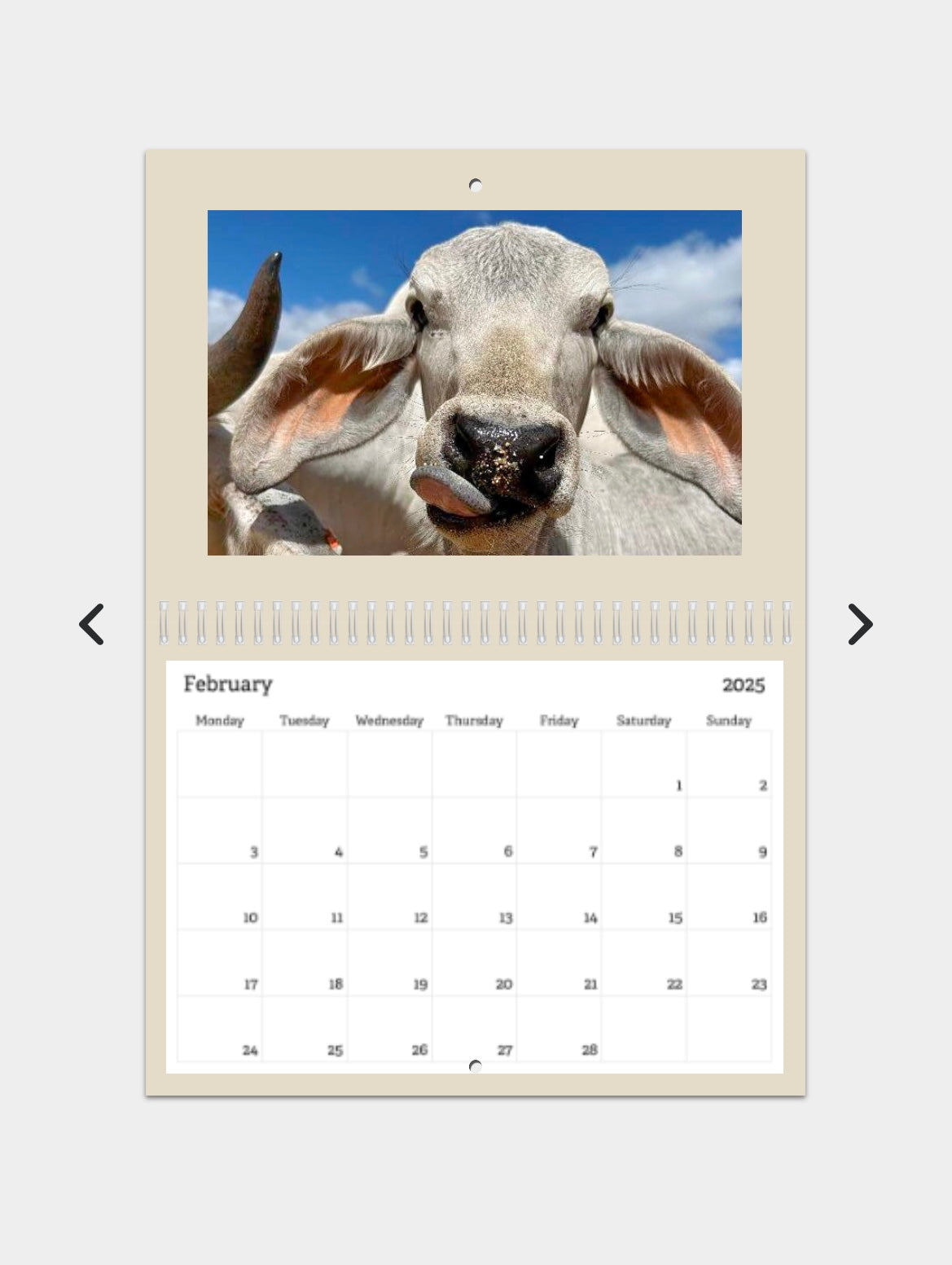 2025 CALENDAR